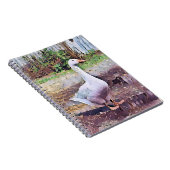 CARNET GOOSE (Côté Droit)