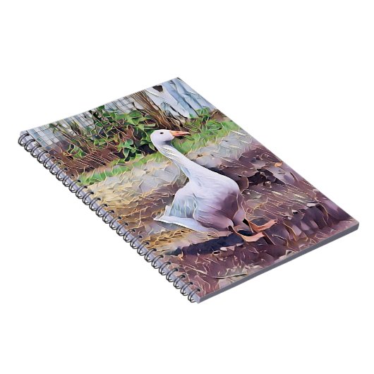 CARNET GOOSE (Côté Droit)