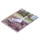 CARNET GOOSE (Côté gauche)