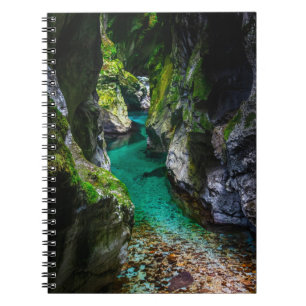Carnet gorge de Soca en Slovénie