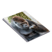 CARNET GORILLA (Côté Droit)