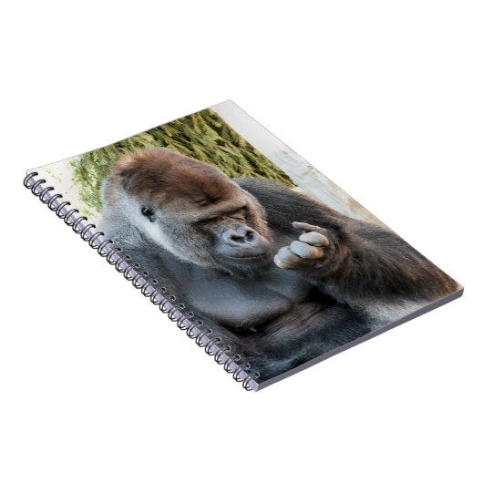 CARNET GORILLA (Côté Droit)