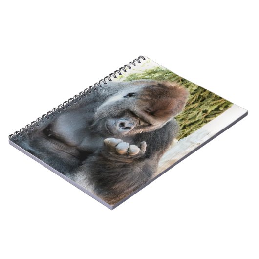 CARNET GORILLA (Côté gauche)