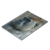 Carnet Gorilla Lope (Côté gauche)