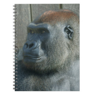 Carnet Gorilla Lope