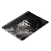 Carnet Gorilla réfléchie (Côté gauche)