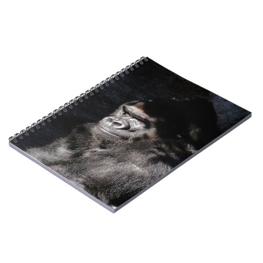 Carnet Gorilla réfléchie (Côté gauche)