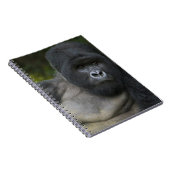 Carnet Gorille des montagnes et dos argenté (Côté Droit)