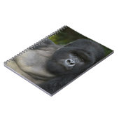 Carnet Gorille des montagnes et dos argenté (Côté gauche)
