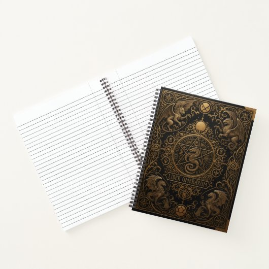 Carnet Gothic Ornamental Embossed Book of Shadows (Intérieur)