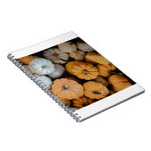 Carnet gourdes (Côté Droit)