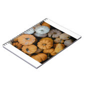 Carnet gourdes (Côté gauche)