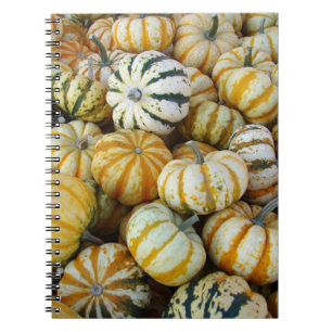 Carnet Gourtes de récolte d'automne orange et vert