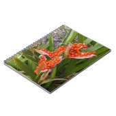 Carnet Gousses de graines d'Iris puant Orange Photo (Côté gauche)