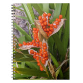Carnet Gousses de graines d'Iris puant Orange Photo (Devant)
