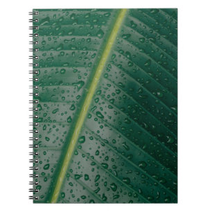 Carnet gouttelettes d'eau sur feuille de bananier