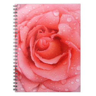 Carnet Gouttes d'eau de rose rouge romantique
