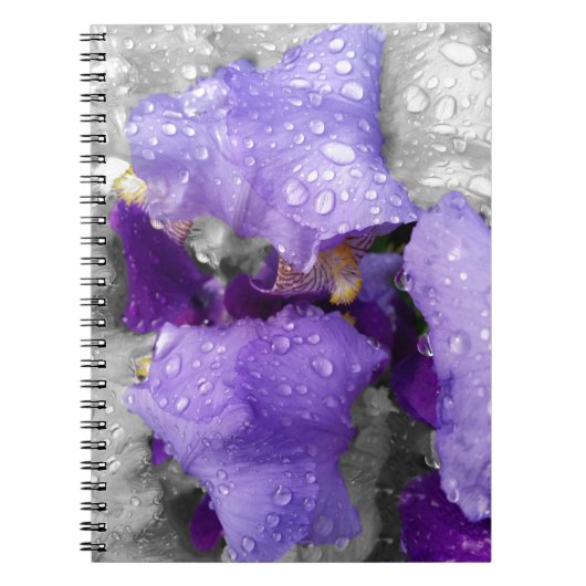 Carnet gouttes d'eau sur iris (Devant)