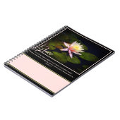 Carnet Grâce (Côté gauche)