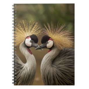 Carnet Graine couronnée