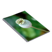 Carnet Graine de tête de pavot, Western Cape (Côté Droit)