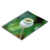 Carnet Graine de tête de pavot, Western Cape (Côté gauche)