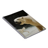Carnet Graine d'ours polaire (Côté Droit)