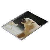 Carnet Graine d'ours polaire (Côté gauche)