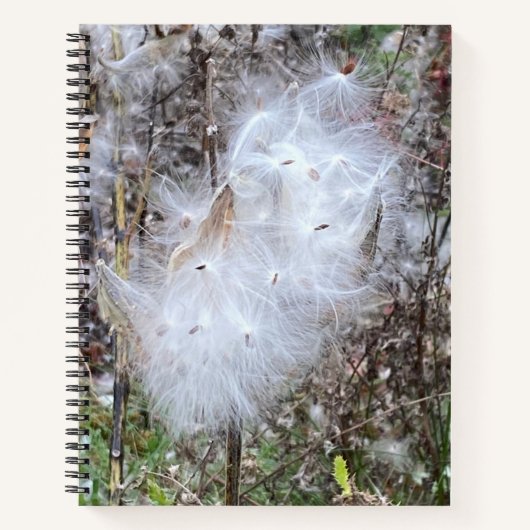 Carnet Graines d'algue et soie sur mesure (Devant)