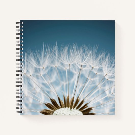 Carnet Graines de Dandelion (Devant)