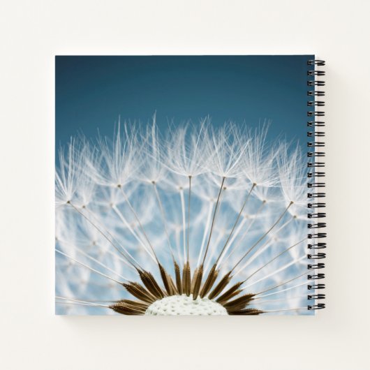 Carnet Graines de Dandelion (Dos)