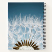 Carnet Graines de Dandelion (Dos)