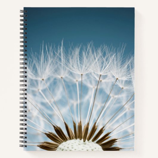 Carnet Graines de Dandelion (Devant)