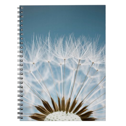 Carnet Graines de pissenlit (Devant)