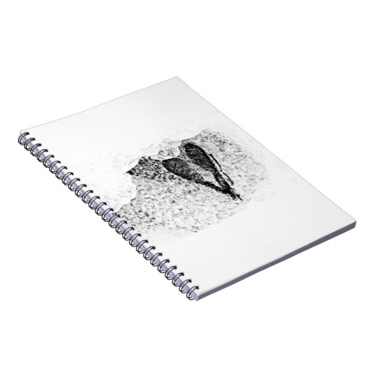 Carnet Graines glacées amoureuses (Côté Droit)