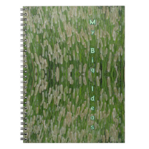 Carnet Graines vertes