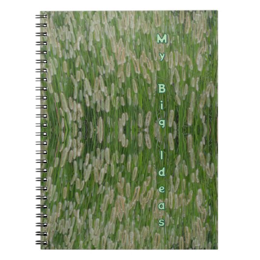 Carnet Graines vertes (Devant)