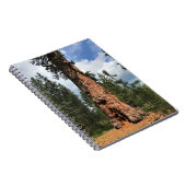 Carnet Grand Arbre Rouge, La Pine, OR (Côté Droit)