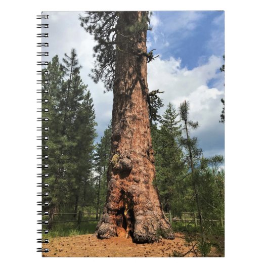 Carnet Grand Arbre Rouge, La Pine, OR (Devant)
