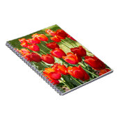 Carnet Grand champ de tulipes rouges (Côté Droit)