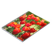 Carnet Grand champ de tulipes rouges (Côté gauche)