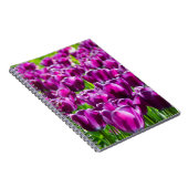 Carnet Grand champ de tulipes violettes    (Côté Droit)