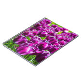 Carnet Grand champ de tulipes violettes    (Côté gauche)