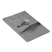 Carnet Grand goéland (Côté Droit)