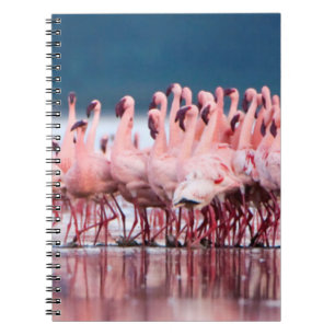 Carnet Grand Groupe De Petits Flamants