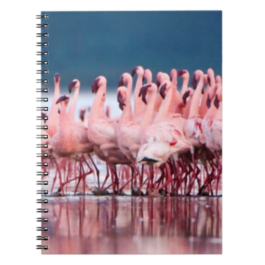 Carnet Grand Groupe De Petits Flamants (Devant)