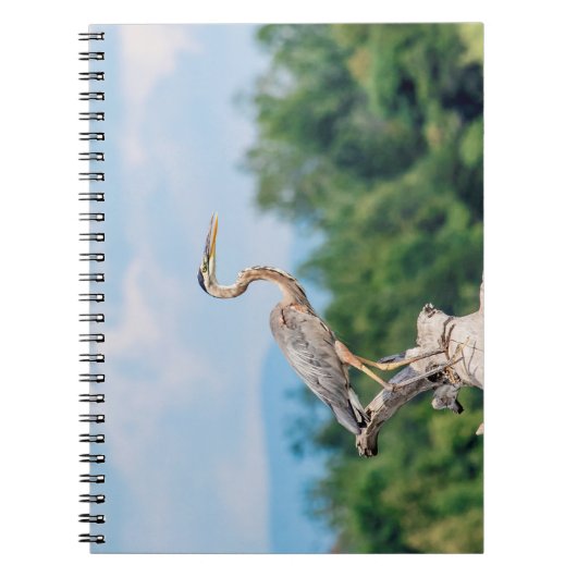 Carnet Grand héron bleu (Devant)