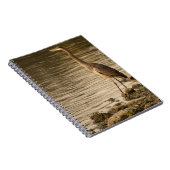 Carnet Grand héron bleu (Côté Droit)