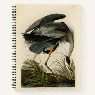Carnet Grand Héron bleu d'Audubon Marais Oiseau