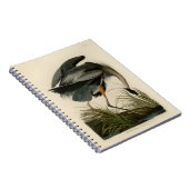 Carnet Grand Héron bleu d'Audubon Marais Oiseau (Côté Droit)